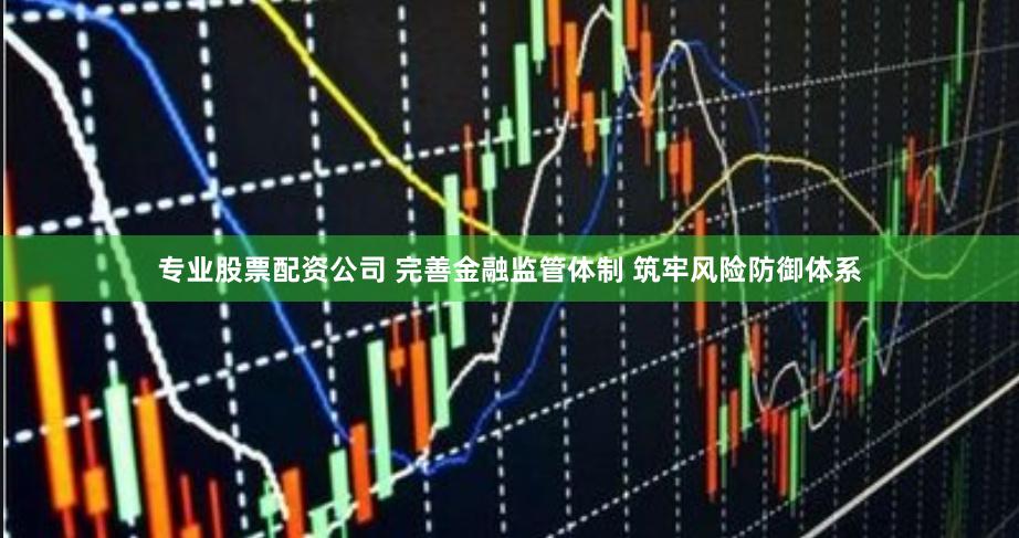 专业股票配资公司 完善金融监管体制 筑牢风险防御体系