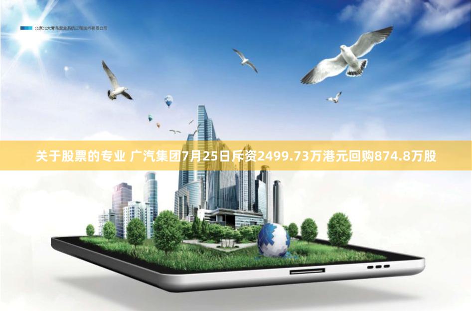 关于股票的专业 广汽集团7月25日斥资2499.73万港元回购874.8万股