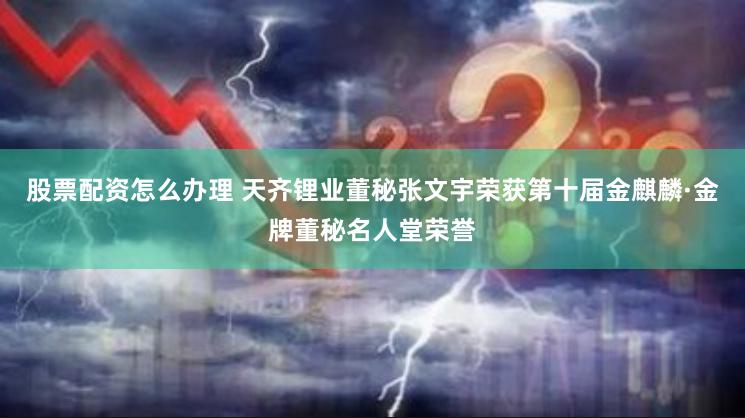 股票配资怎么办理 天齐锂业董秘张文宇荣获第十届金麒麟·金牌董秘名人堂荣誉